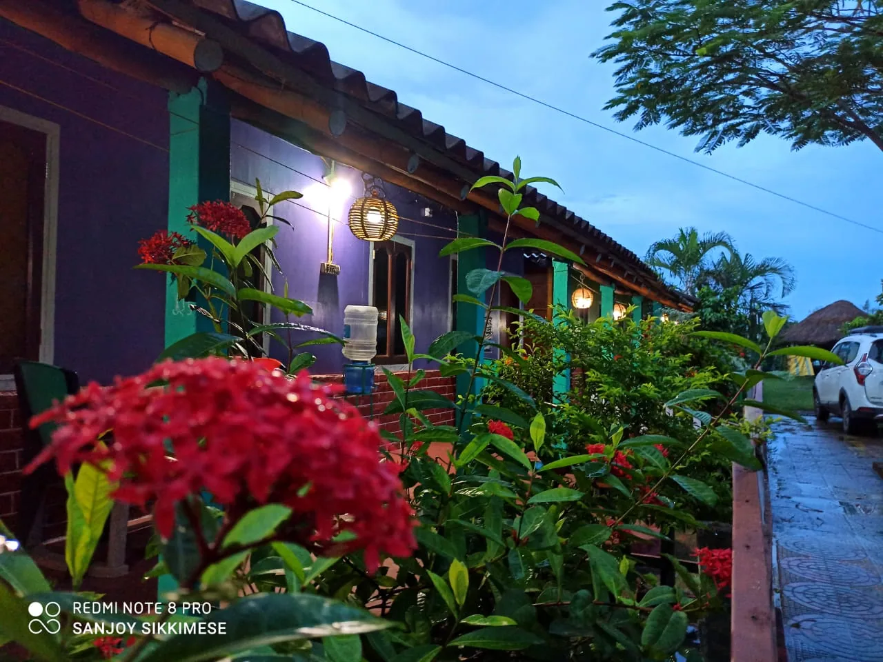 Resort garden at evening, Tajpur coast
