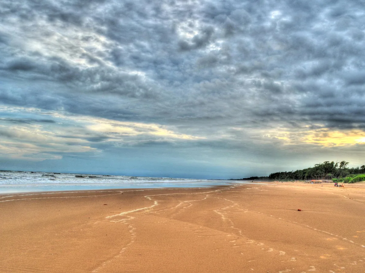 Tajpur Beach shoreline through the Casuarina trees